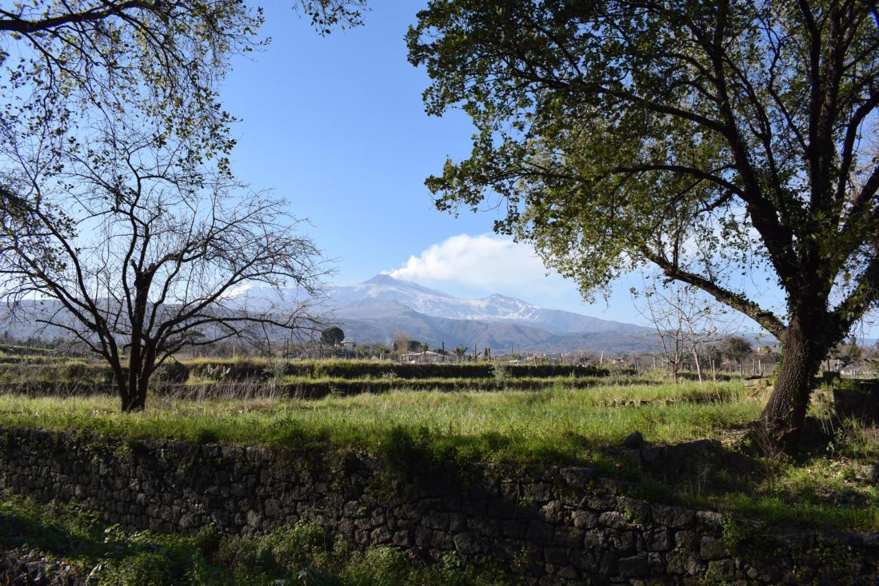 Etna Tra Le Querce Villa Santa Venerina Buitenkant foto